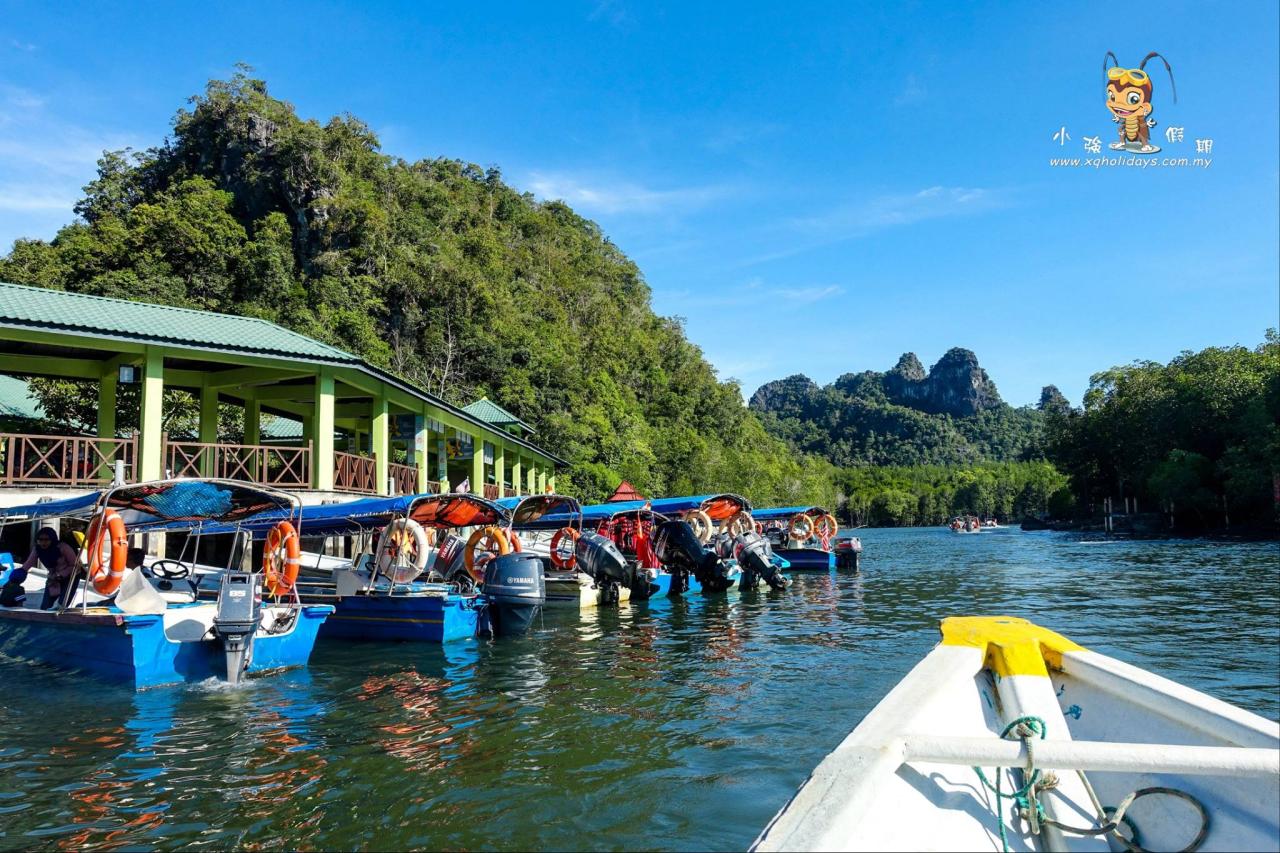 Jelajahi Keajaiban Mangrove Langkawi dengan Tur Mangrove yang Menakjubkan