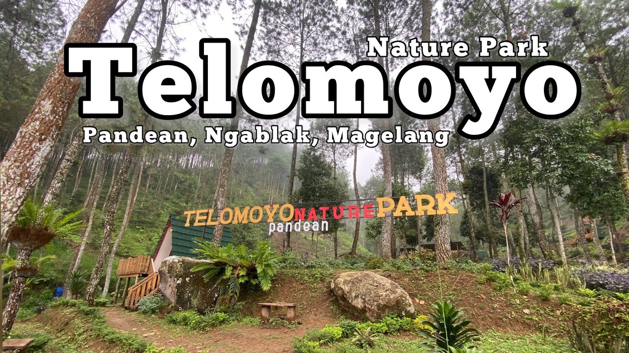 Telomoyo Nature Park: Menikmati Keindahan Alam di Lereng Gunung Telomoyo